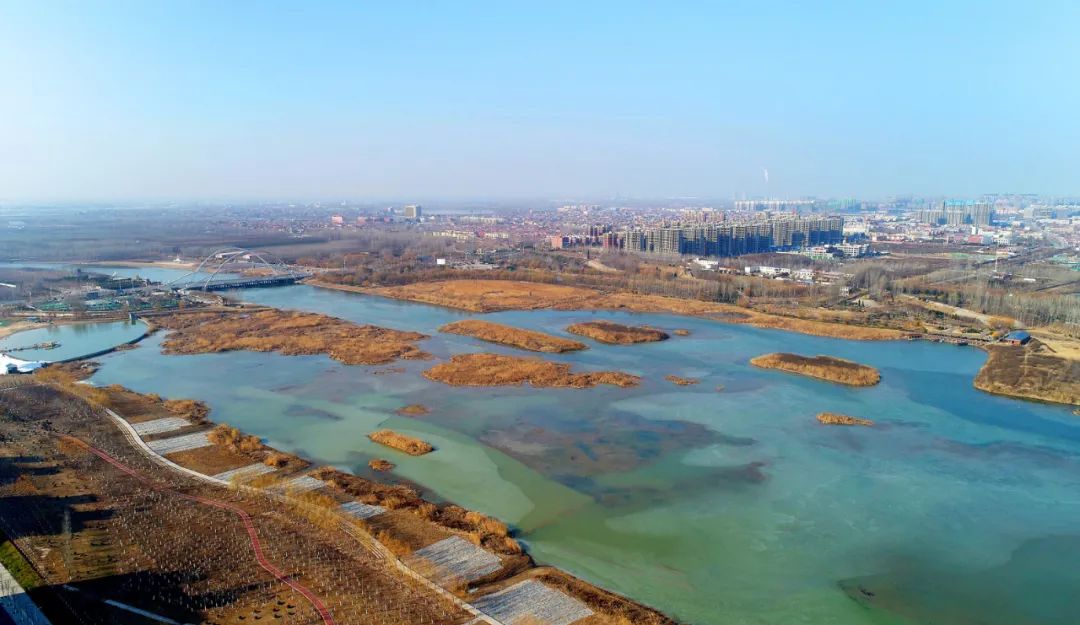 观鸟正当时濮阳这个地方来了好多小可爱