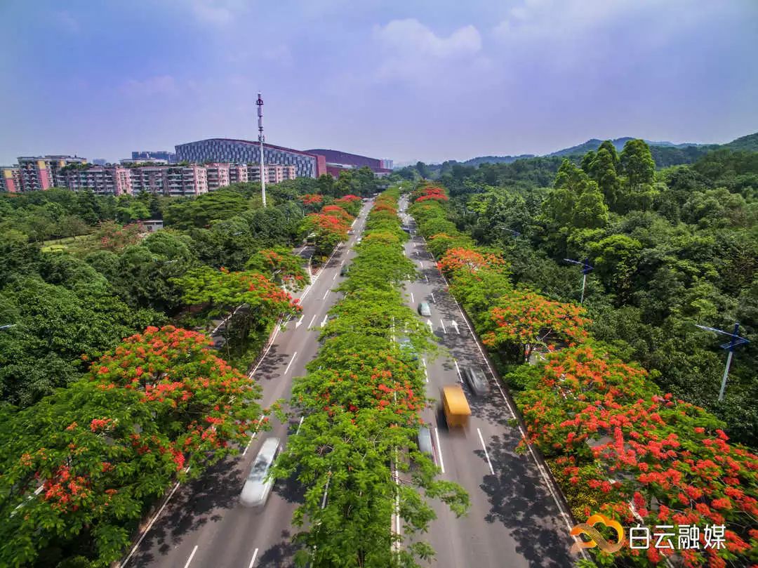 空港大道,白云大道北,石井大道,广花一路,广花公路,均禾大道,广园路等