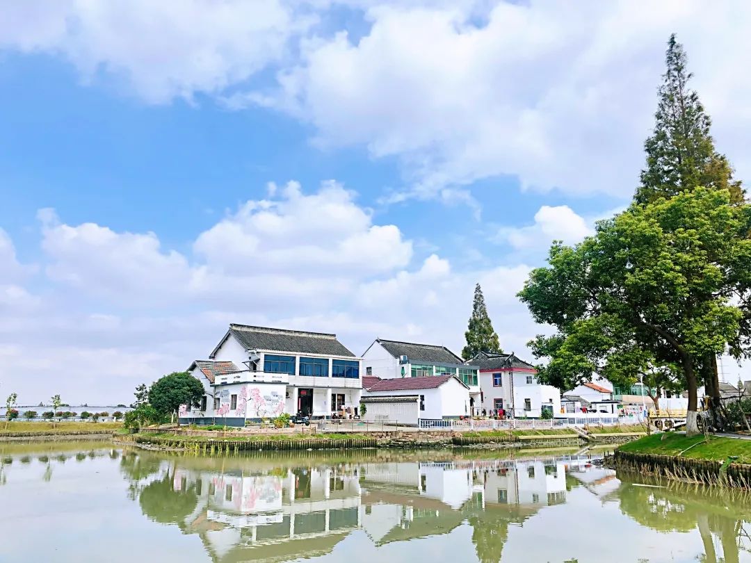 红旗村与上海市农业科学院,青浦区农业农村委,青浦区白鹤镇人民政府