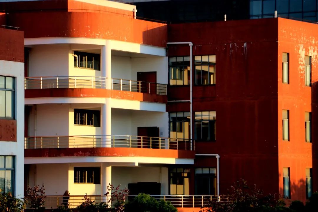 清浅时光里美成明信片的华理建筑