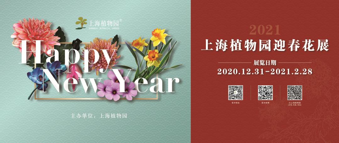 2021上海植物園迎春花展給你好看！