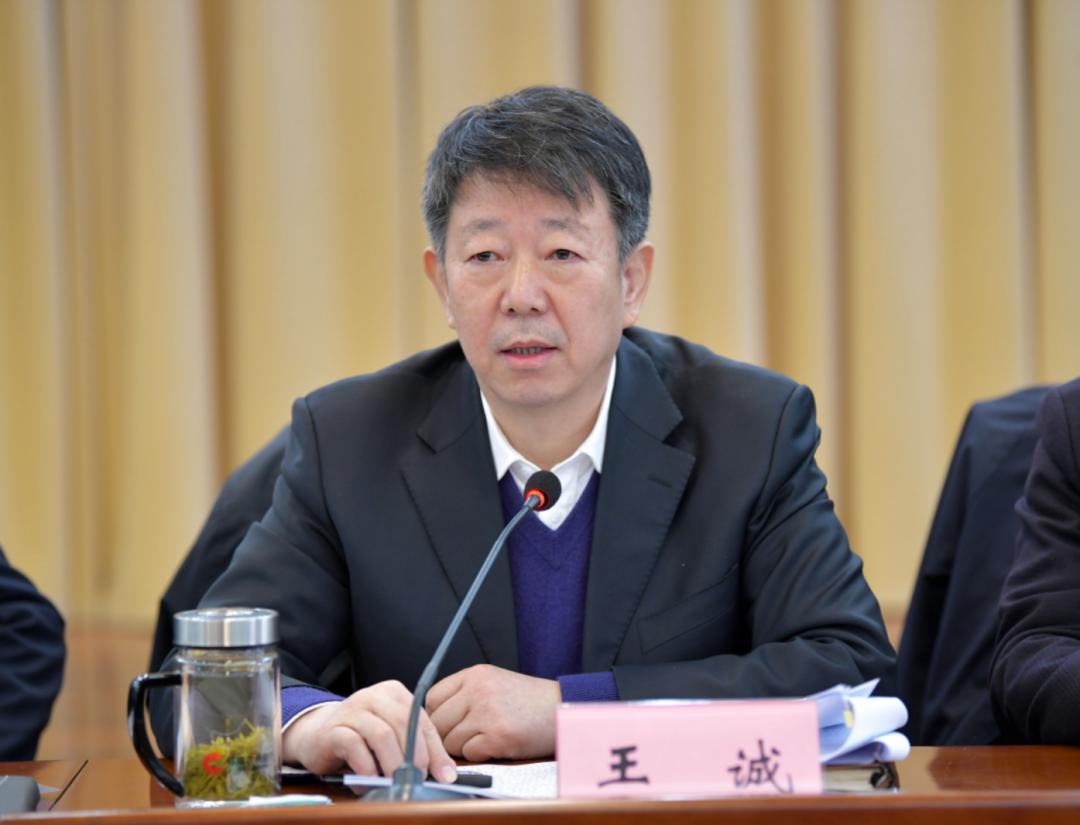 市长王诚强调,蚌埠跨越发展有机遇,有优势,有条件.