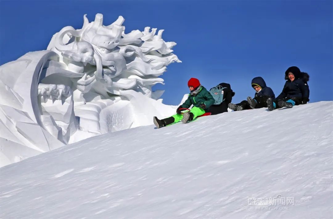 为冬奥会加油为新时代中国喝彩魅力冰雪摄影大赛第37届中国哈尔滨国际