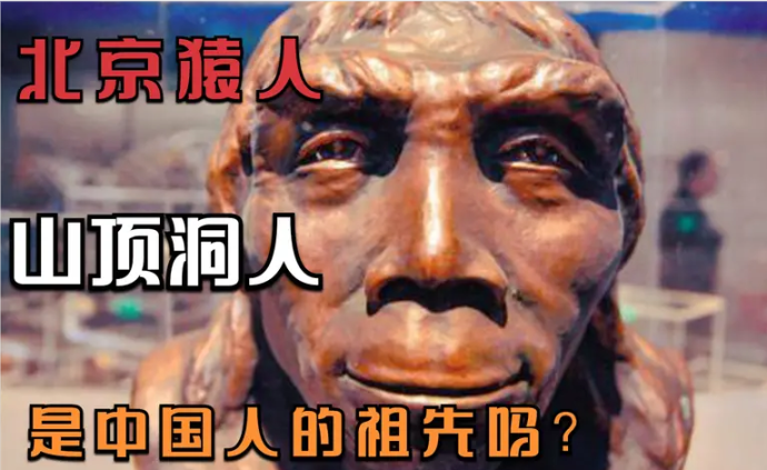 为什么北京猿人和山顶洞人不是中国人的祖先？