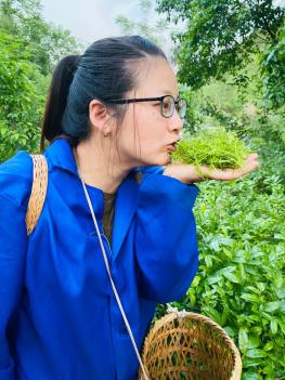 寻找最美莓茶姑娘李春燕醉美茅岩河最恋莓茶香