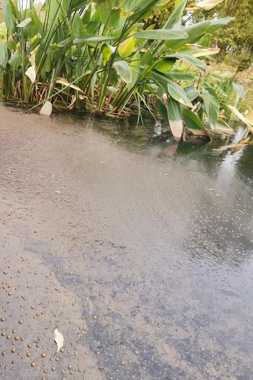 问题在水里根源在岸上检察建议让污水河道展新颜