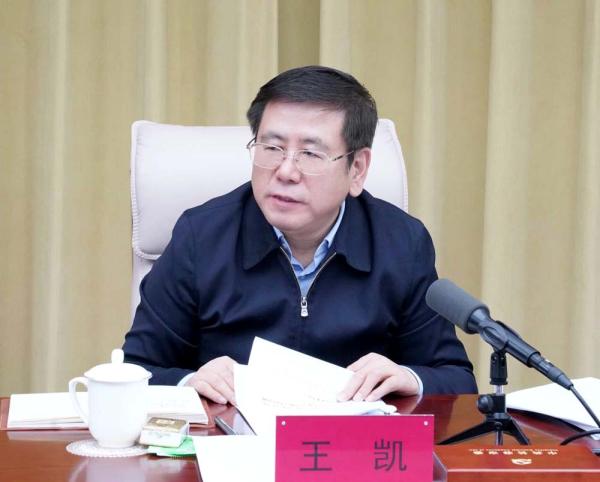 王凯主持召开市委常委会会议扛稳国家粮食安全重任加快推动乡村振兴