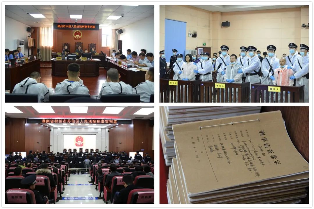 扫黑除恶三年我们做了这些