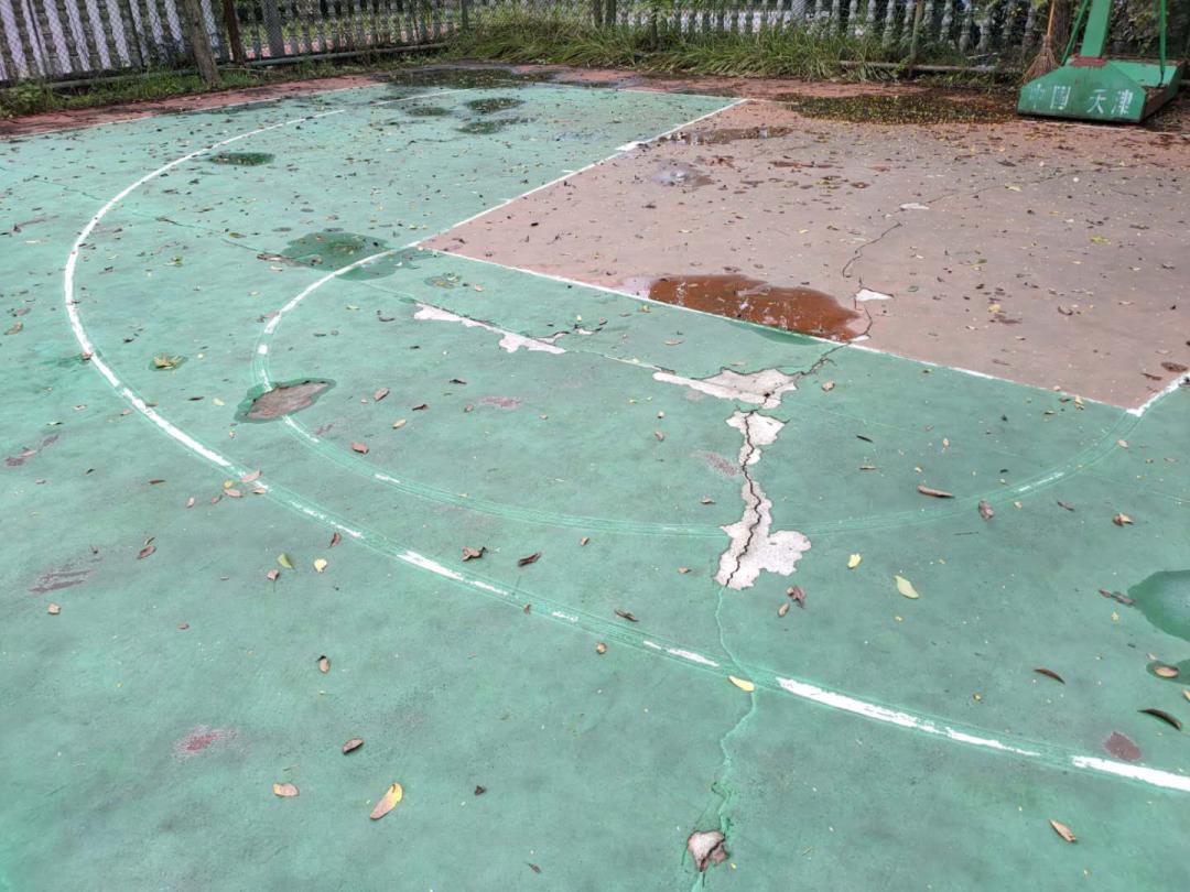 该小区篮球场是学士街道学士桥社区迪亚溪谷小区居民的主要休闲,锻炼