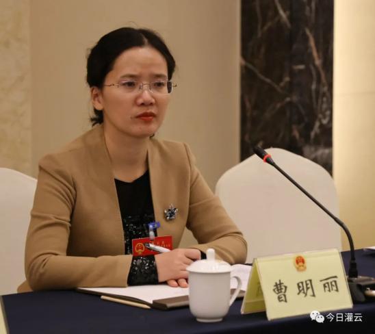 聚焦两会曹明丽参加东王集镇代表团分组讨论