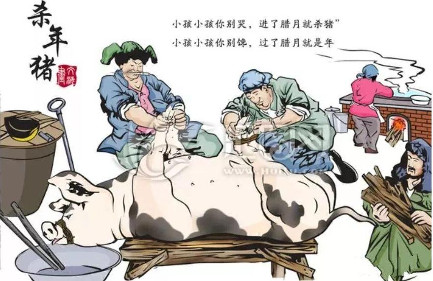 乡村童谣中唱到"孩子孩子你别哭,明天就宰大肥猪,孩子孩子你快睡,妈妈