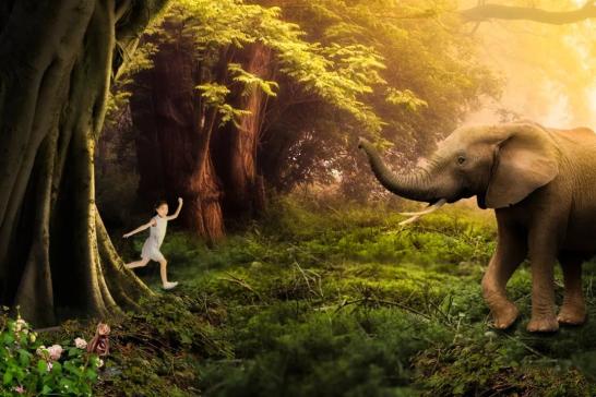 梦境解析，家中公鸡与小蛇的奇遇——寓意与象征的深度探索