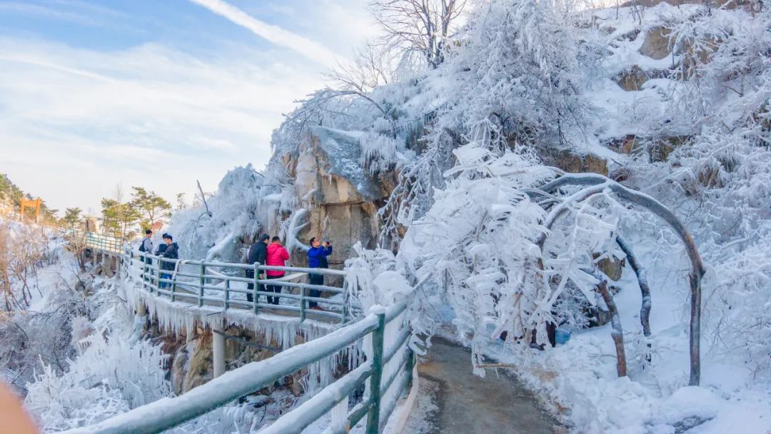 天蒙山再现超美冰凌冰花冰挂奇观