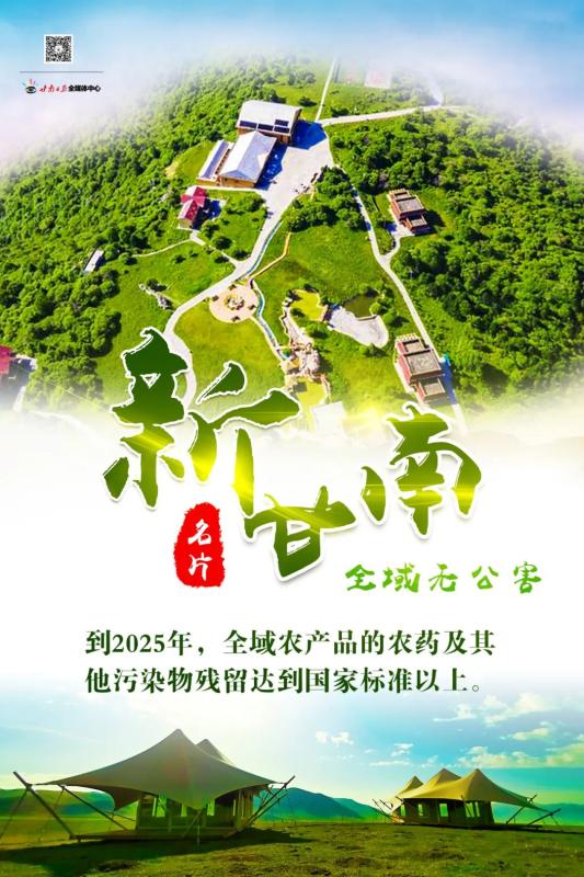 微海报五无甘南新甘南名片