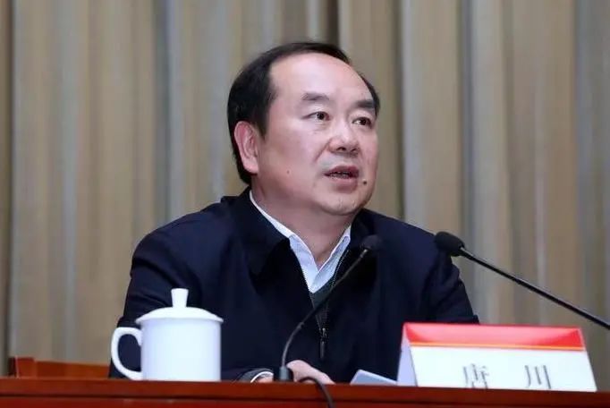 区委常委,组织部部长,区村(社区)"两委"换届工作领导小组副组长王小渝