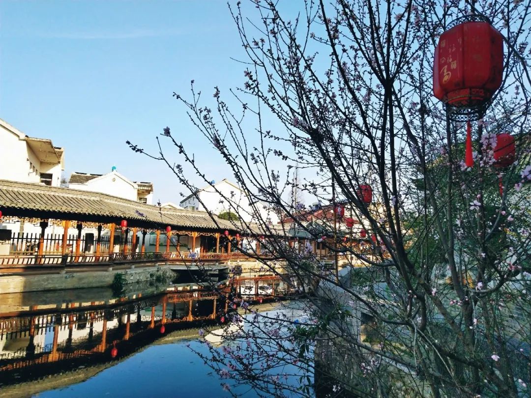 空气清新宜人 自然环境优美远离繁嚣水光接天,碧波荡漾这里小桥流水