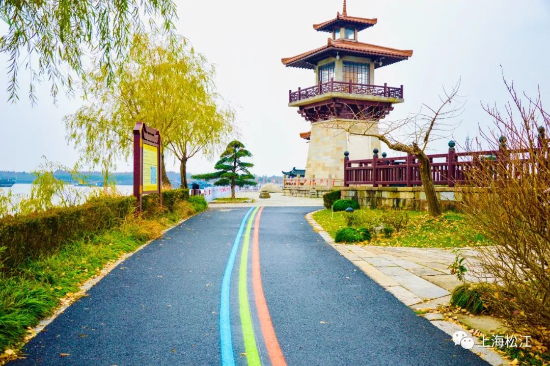 浦江之首动作不断农民换新居喜事连连荡里好辰光石湖荡镇党委书记翁雷