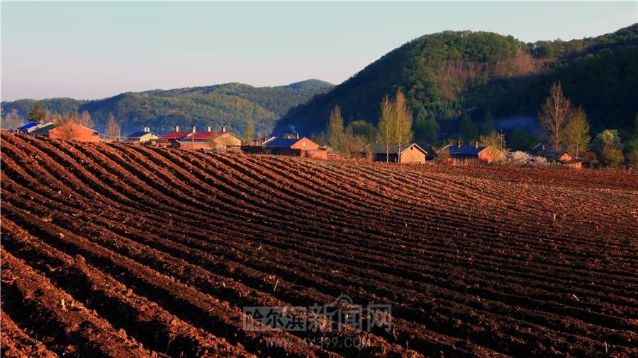 实行最严格的耕地保护制度保护好耕地中的大熊猫黑龙江省防止耕地非粮