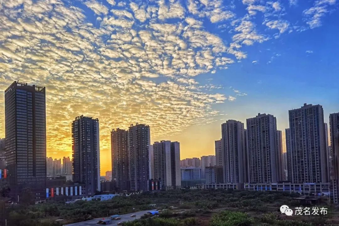 2020年茂名市区空气质量排名全省第一!