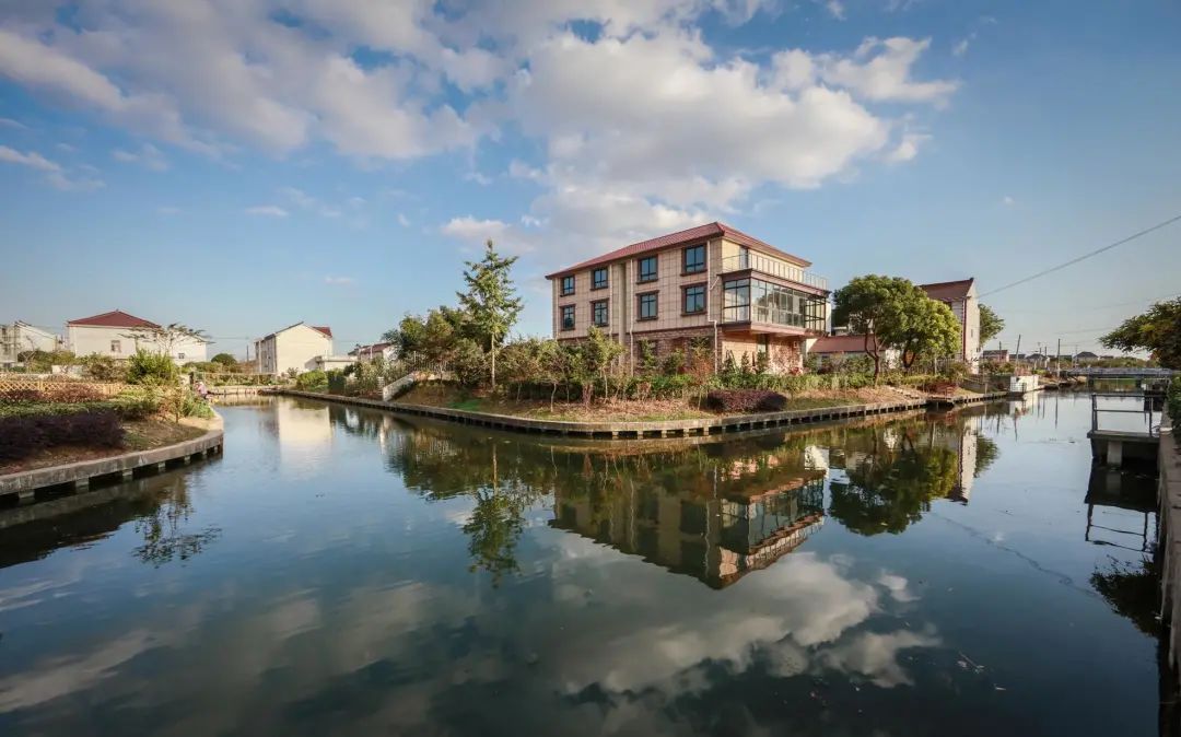 浦东有六个村被评为2020年度上海市美丽乡村示范村你都去过吗
