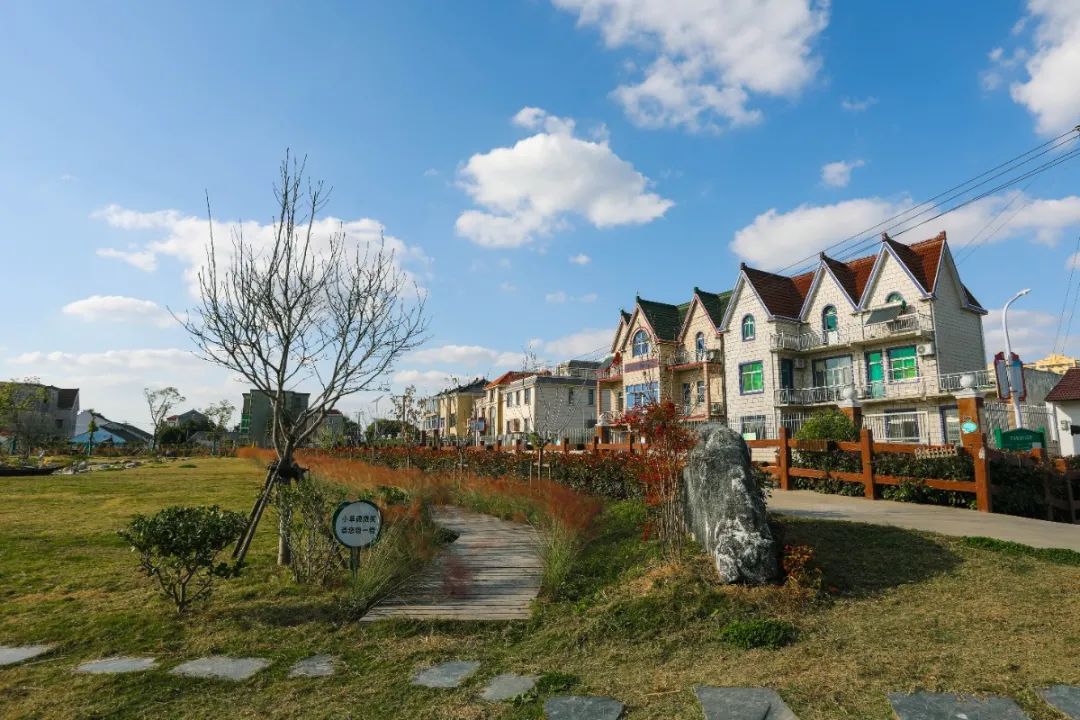 浦东有六个村被评为2020年度上海市美丽乡村示范村你都去过吗