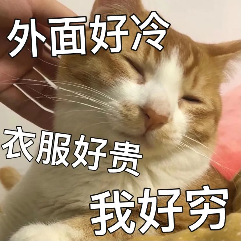 这个冬天有三好体 感 更 冷昼夜温差小但本次寒冷持续时间更长阳光少