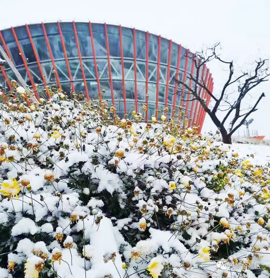 成都天府广场冰雪世界图片