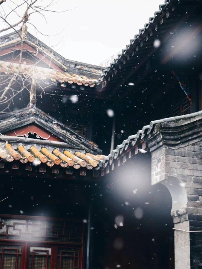 100张成都雪景图第一张我就心动了