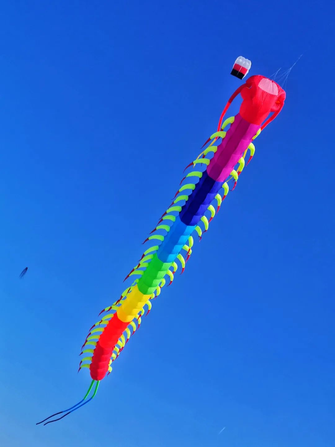 2021江面风筝首秀真是好家伙丨长50米直径3米大蜈蚣飞天贺新年