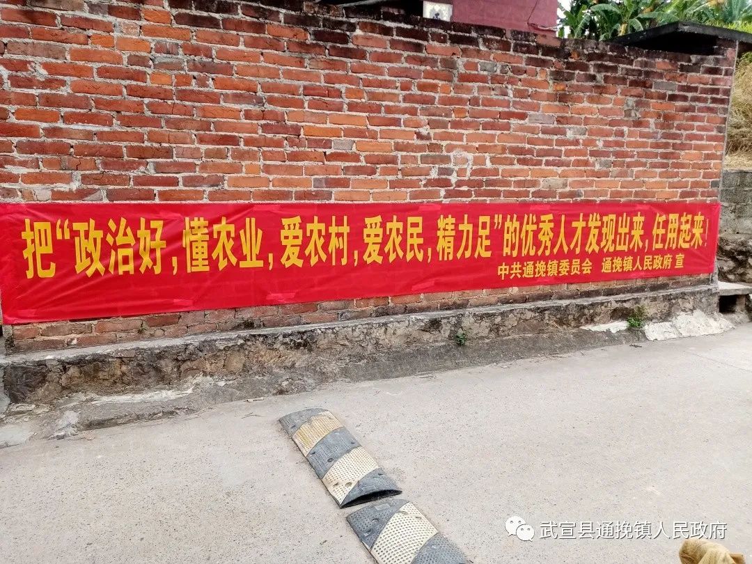 通挽镇充分利用"两线"加强村"两委"换届工作宣传力度