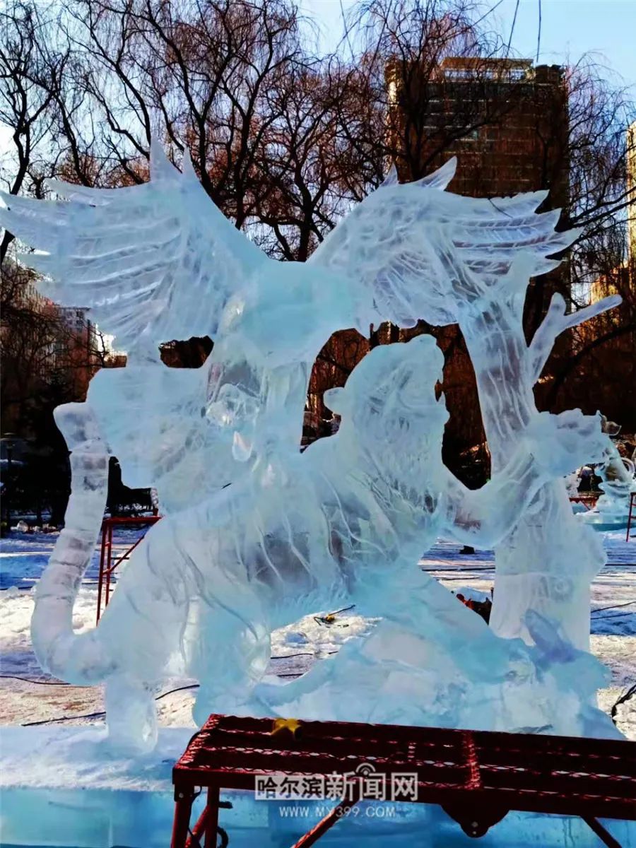 特别好看原来是它们这个全国最高水准的专业冰雕比赛金银铜奖全揭晓