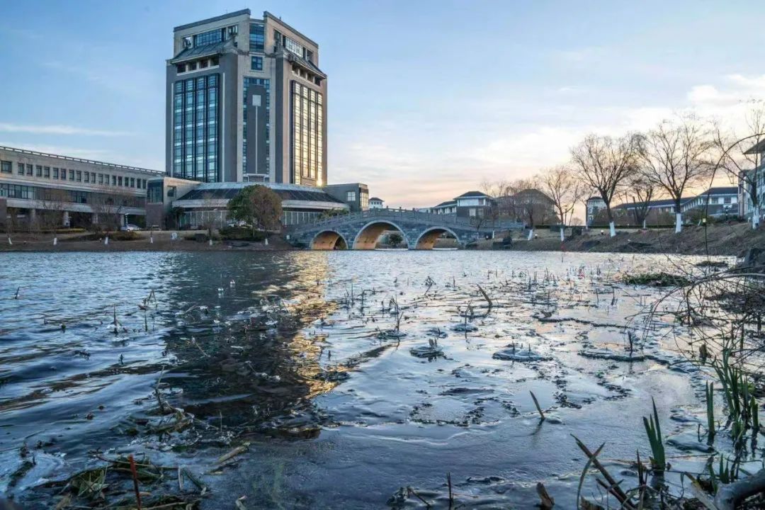 上海海洋大學上海海事大學小布蒐集了浦東各大高校美麗