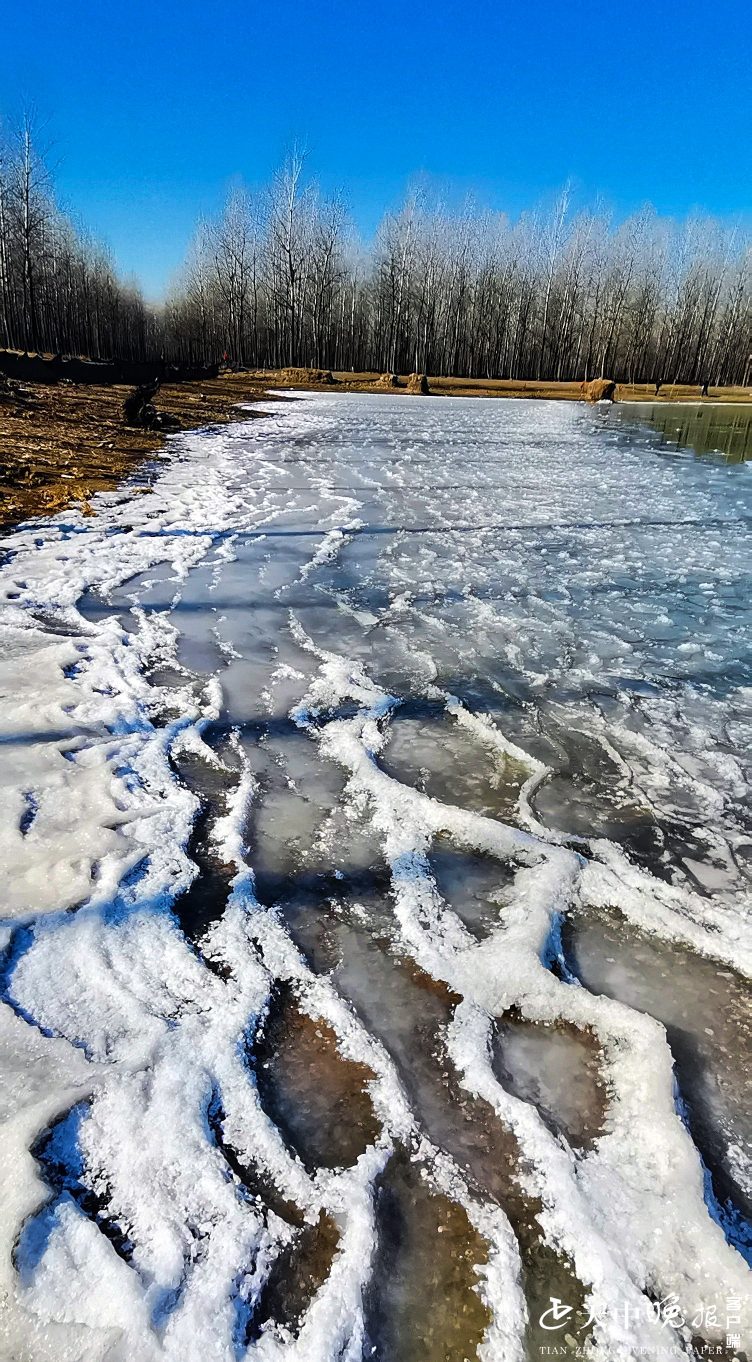 最冷的天气来了,宿鸭湖面上也结冰了