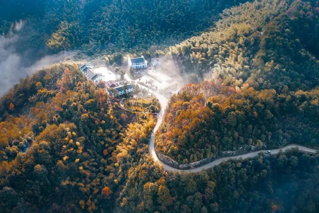 又添"国字号"!浙江国家级森林公园增至44处