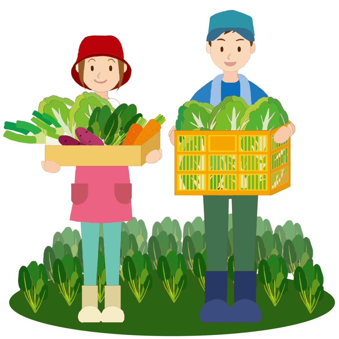 共建青青菜园共享有滋有味新生活