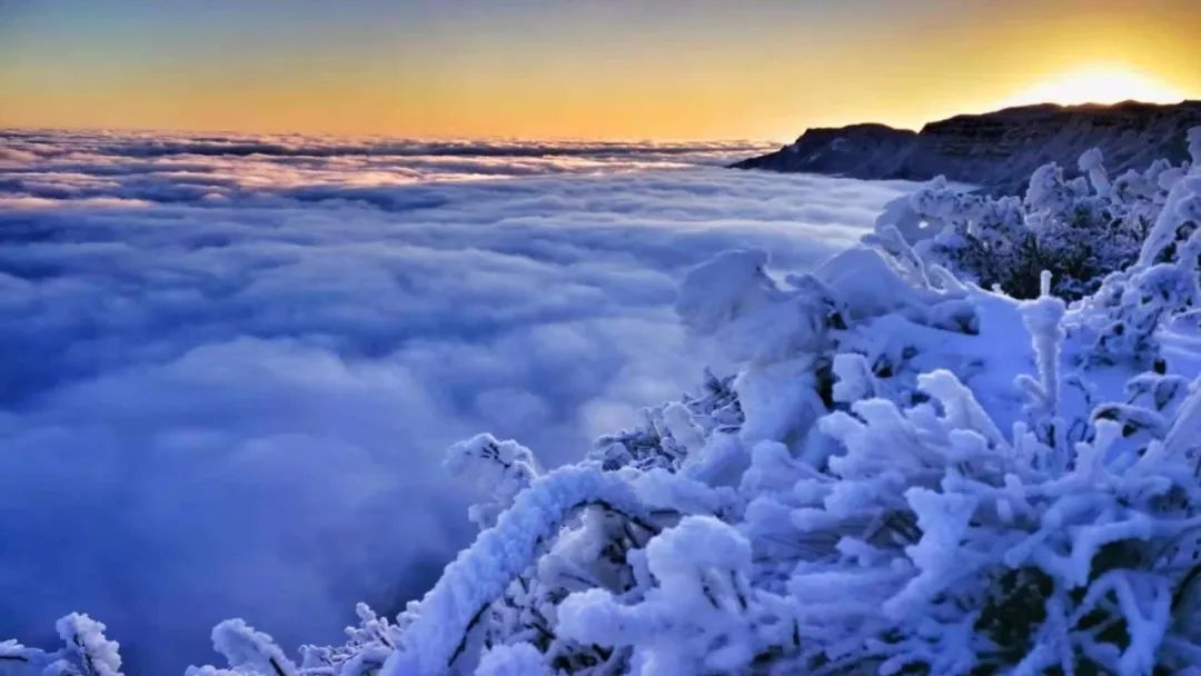 贵州多地迎来新年降雪,唯美雪景惊艳冬日时光!