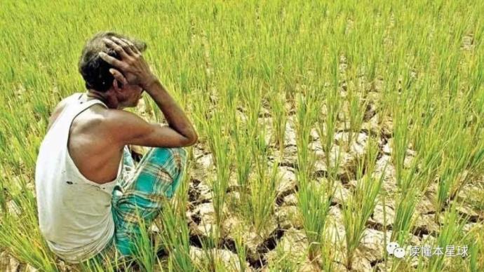 印度农业，为何政府怎么扶也扶不起？