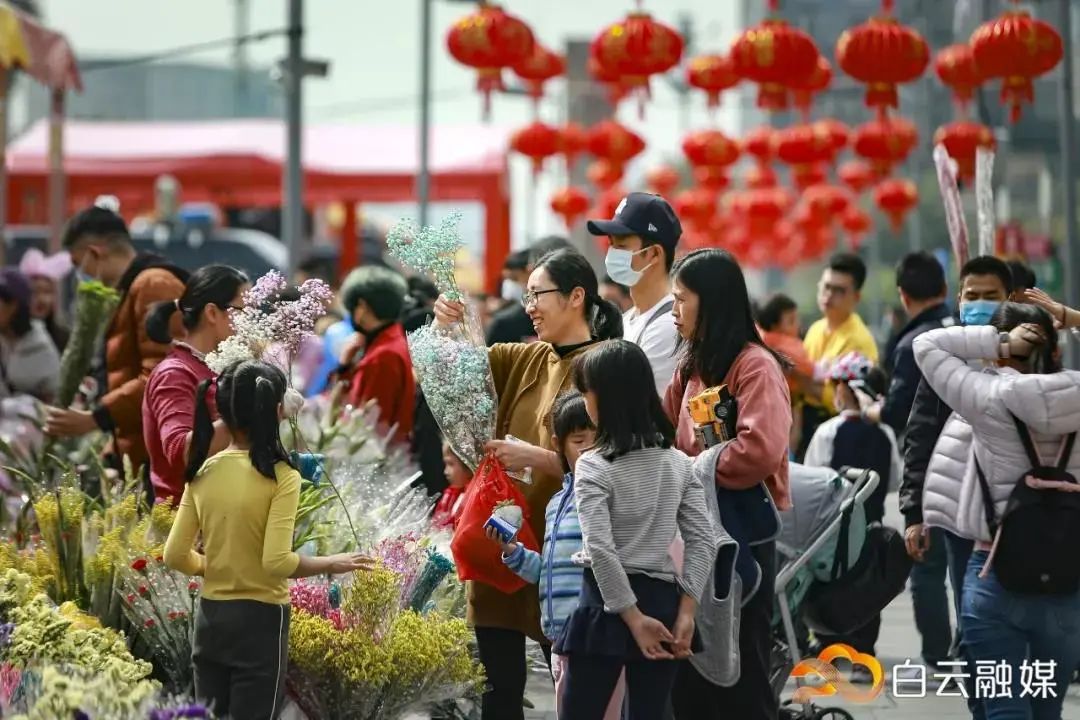 周知2021年白云迎春花市将采用预约制