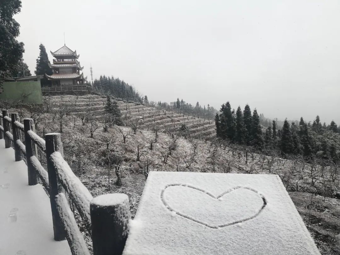 渝北绝美雪景大片上线周末赏雪跟我来