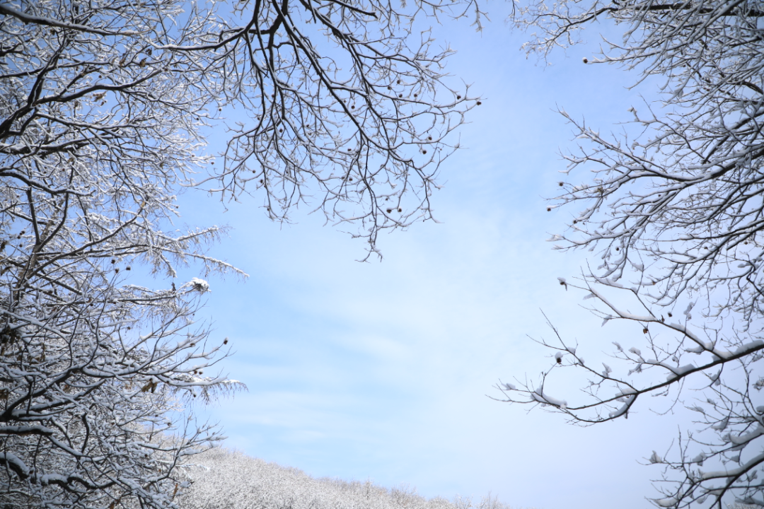 冬雪古韻冬天最別緻的那一抹淡妝美到令人心醉