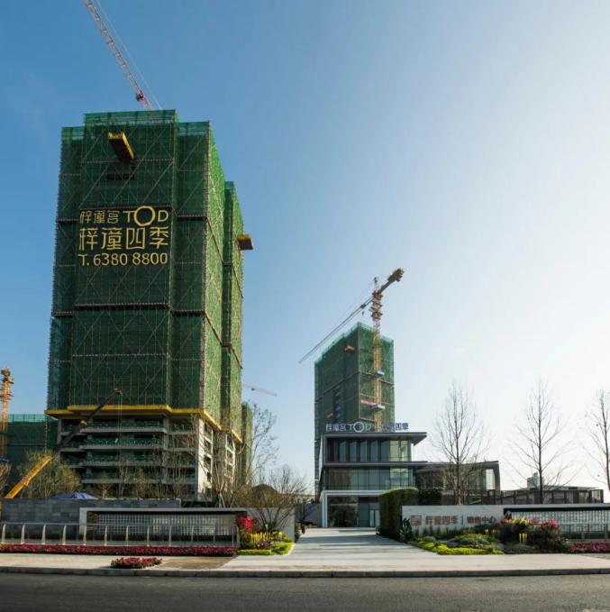 梓潼宫tod正式上市!