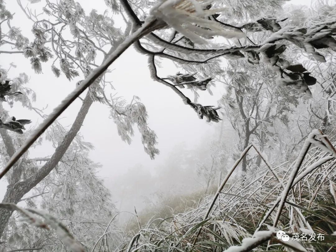 银装素裹分外美丽信宜钱排冰挂满山醉游人