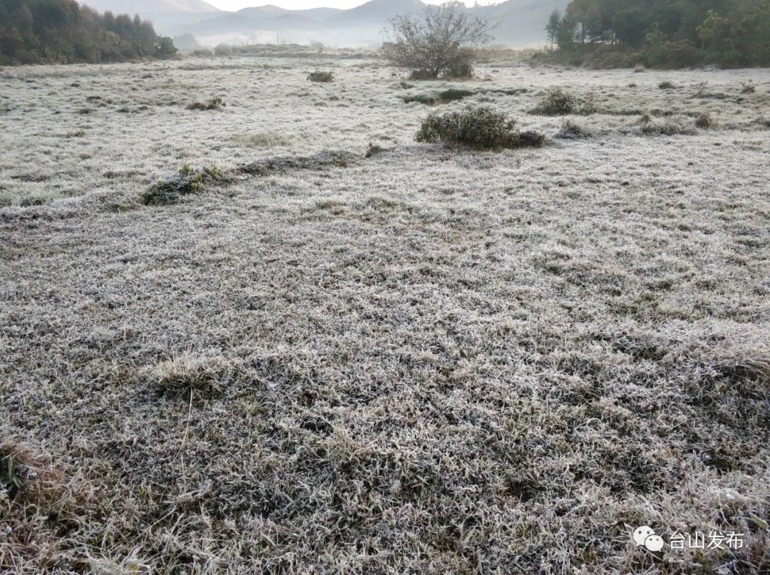 视频 图集!台山满地霜华浓似雪