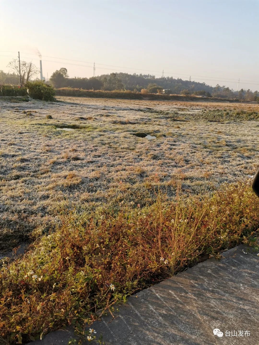 视频 图集!台山满地霜华浓似雪