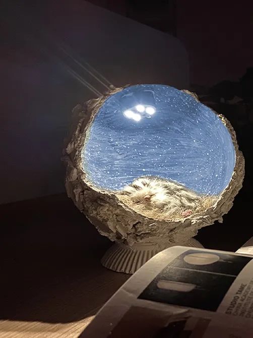 孙兰卿,李海生,彭娇,夏佳玲,张思遥// 作者一切从功能出发,突出外观的