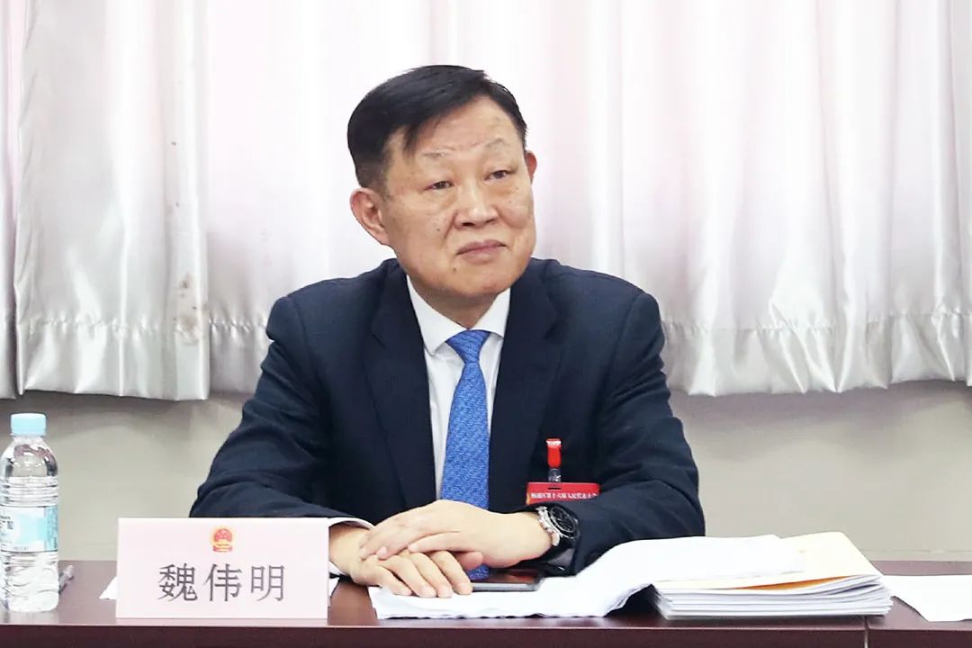 聚焦两会丨区领导与代表委员们审议讨论政府工作报告