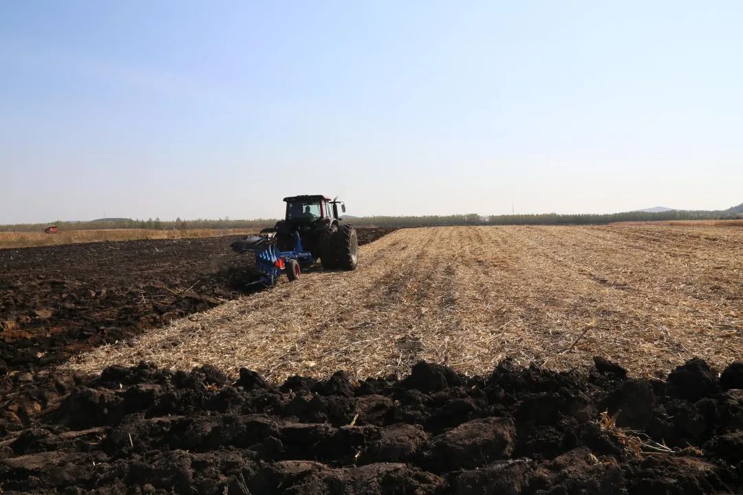 督察整改76丨火点显著减少耕地质量提升我省秸尽所能换来碧空净土