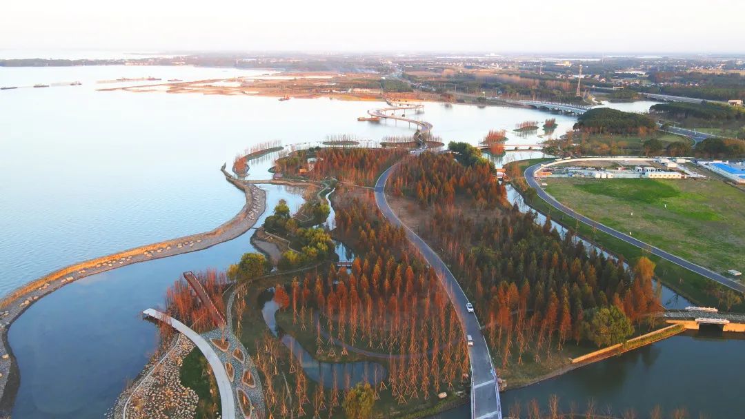 元荡湖畔造网红