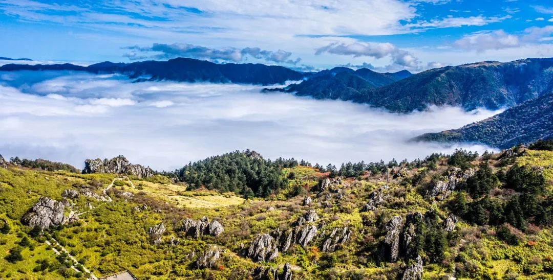 惠游湖北摄影作品丨神农顶壮观云海