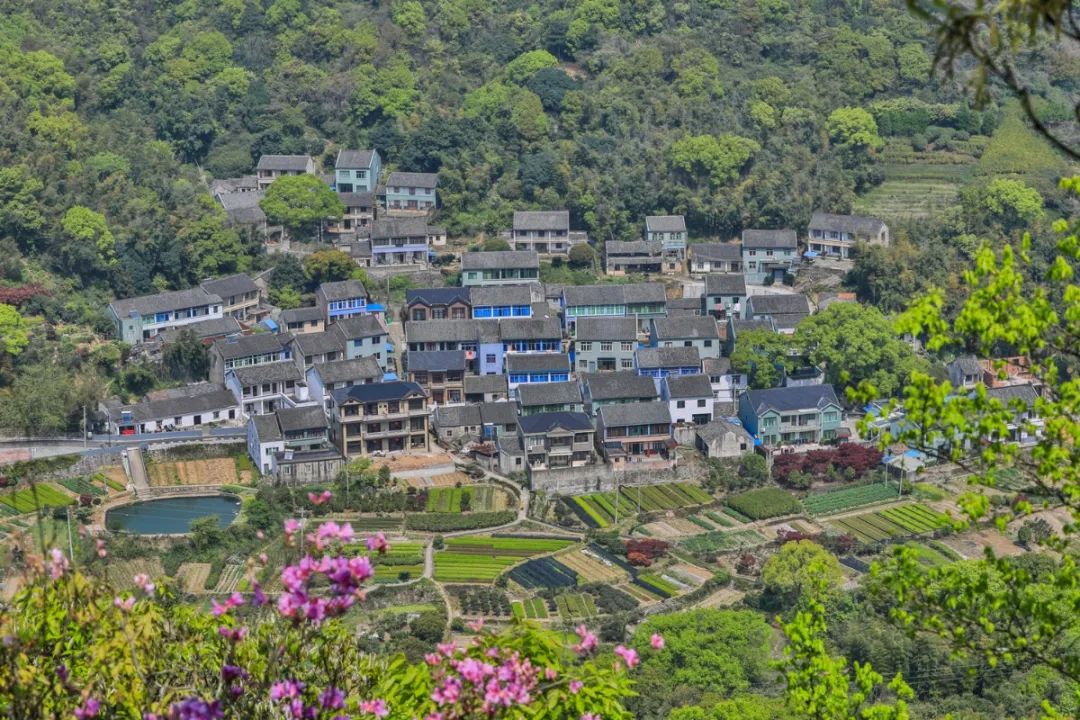 古城郭巨正式首发